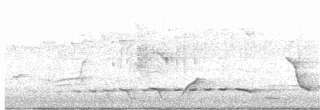 Серогрудый питуи - ML123472761