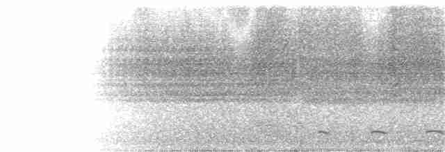 African Gray Hornbill - ML123485911
