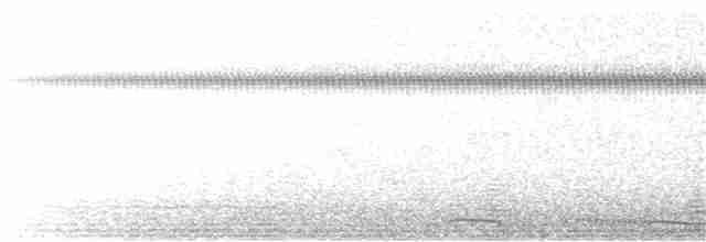 Thick-billed Warbler - ML123528441