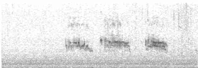 Kara Karınlı Kumkuşu - ML123606131