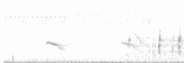Серогрудый коростелёк - ML123609481