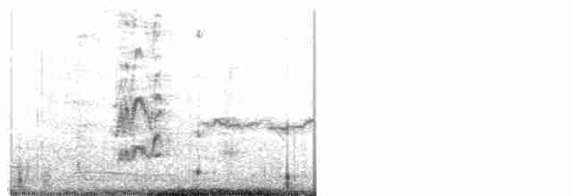 Чечевичник малиновокрилий (підвид alienus) - ML123629601