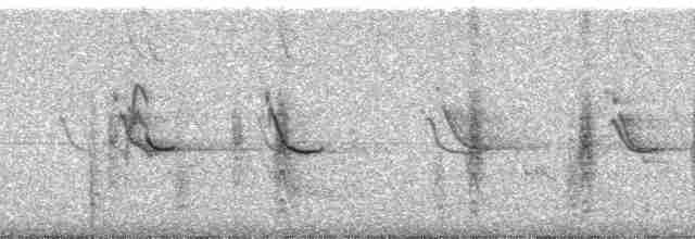 vlhovec červenokřídlý [skupina phoeniceus] - ML12367