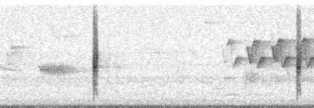 Al Kanatlı Karatavuk [phoeniceus grubu] - ML12374