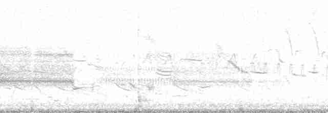 Al Kanatlı Karatavuk [phoeniceus grubu] - ML12375