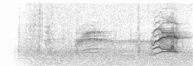 Münzevi Bülbül Ardıcı - ML123760651