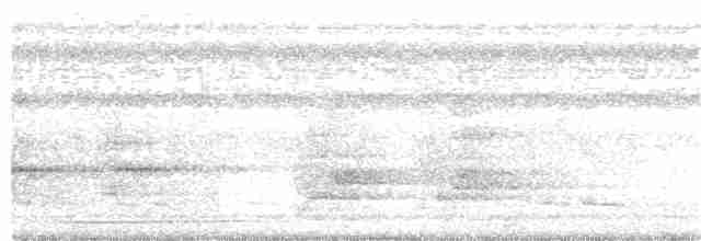 Tinamou de Boucard - ML123825011