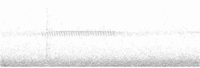 Кукушечья иглоногая сова - ML123837441