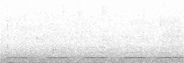 Борнейская лесная куропатка - ML123912611