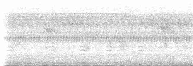Пасовка співоча (підвид melodia/atlantica) - ML123969961