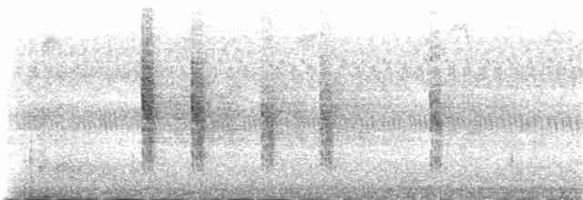 Ev Çıtkuşu [aedon grubu] - ML123970421