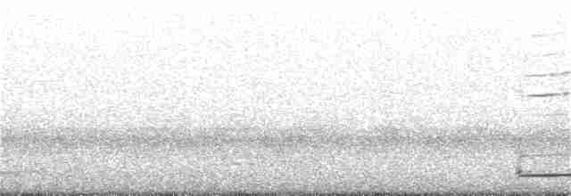 Тихоокеанский коэль - ML124115871