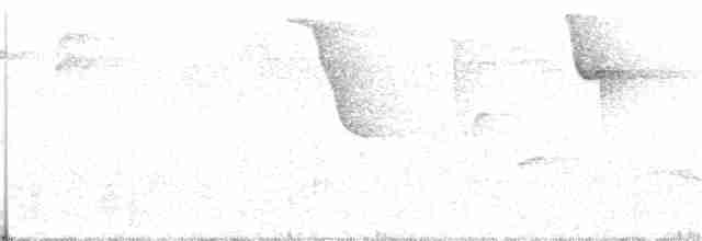 Gray-browed Brushfinch - ML124192201