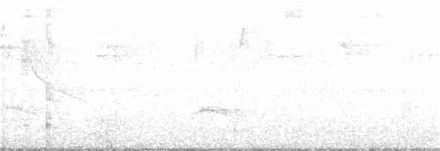 Kestane Karınlı Bülbül Tiranı - ML124192501
