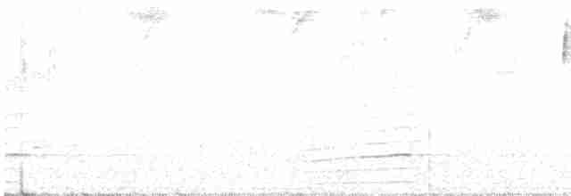 Black-billed Mountain-Toucan - ML124193121