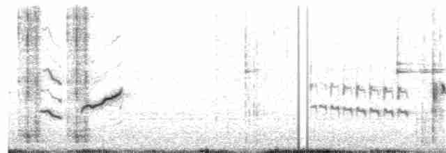 topplerke (macrorhyncha/randonii) (maghrebtopplerke) - ML124213651