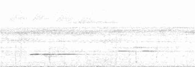 Tinamou de Bartlett - ML124329111