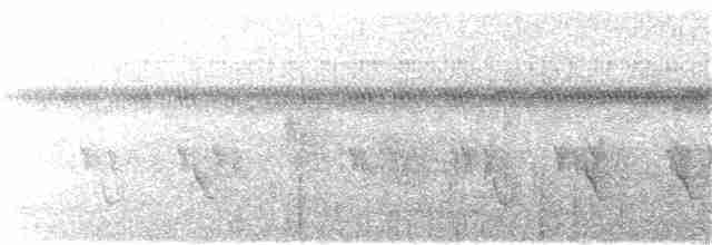 Trogón Pechinaranja (grupo dulitensis) - ML124345351