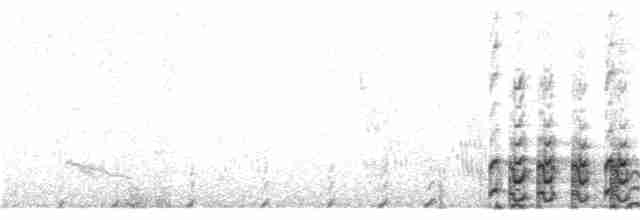 Gallinule à face noire - ML124412271