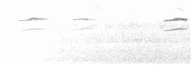 Kara Sırtlı Tangara - ML124413561