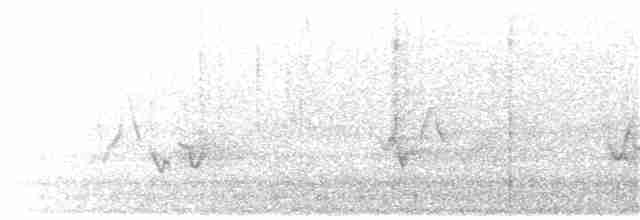 Дрізд-короткодзьоб бурий - ML124451541