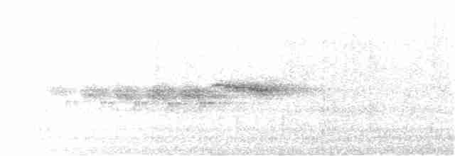 Münzevi Bülbül Ardıcı - ML124451781