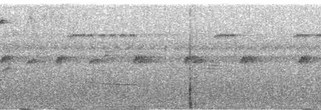 Ошейниковый кинжалоклюв - ML124469
