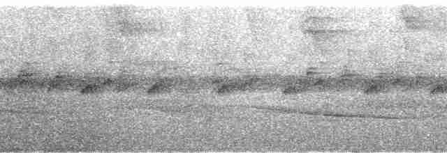 Черноголовый крапивник (nigricapillus/connectens) - ML124475