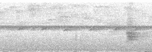 Gri Göğüslü Çıtkuşu - ML124483