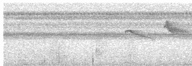 Ruddy-tailed Flycatcher - ML124483291