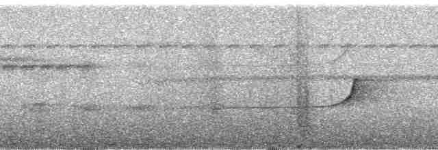 Тиран-малюк золотолобий (підвид flavidifrons) - ML124488