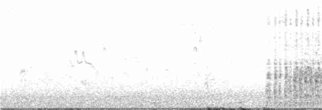 Spotless Crake - ML124522871