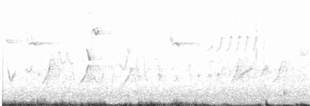 Spotless Crake - ML124522881