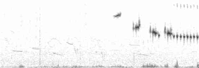 Baird's Sparrow - ML124528681