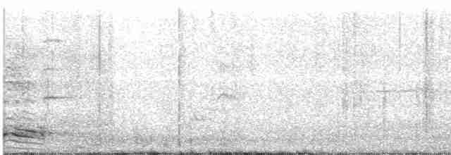 Large-billed Crow (Large-billed) - ML124612891
