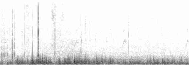 Paruline à couronne rousse (palmarum) - ML124635951