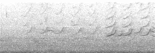 Australian Reed Warbler - ML124782301