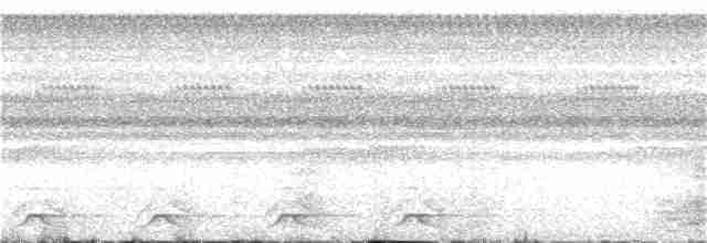 Black-tailed Trogon - ML124790311