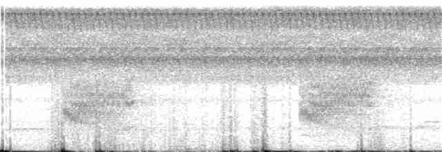 Bluish-slate Antshrike - ML124791201