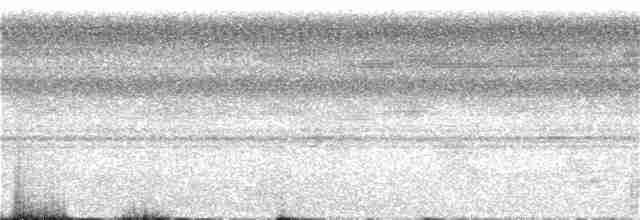 Tinamou de Bartlett - ML124791381
