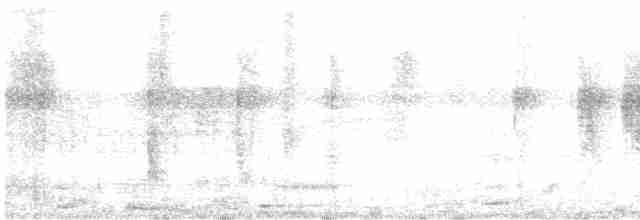 Gray Wagtail - ML124794101