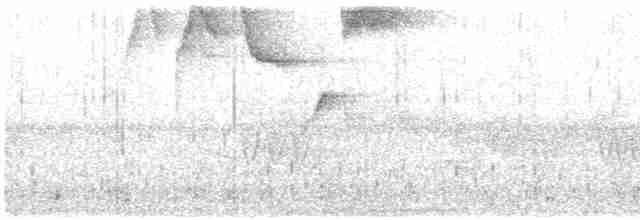 Ak Kaşlı Çalı Serçesi - ML124802051