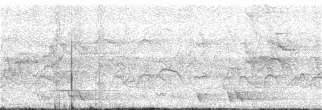 Пятнистая древесная утка - ML124817791