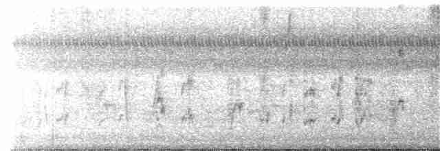 střízlík bažinný [skupina palustris] - ML124849421