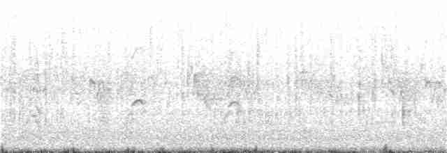 Weißstirn-Seeschwalbe - ML124880241