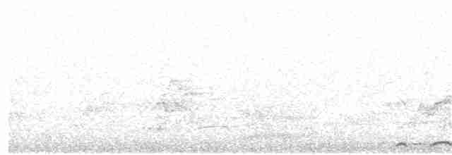hrdlička kropenatá - ML124931031