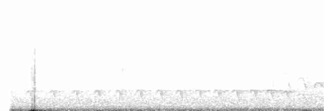 Black-crested Antshrike - ML124950061