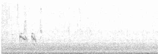 Little Tern - ML125001751