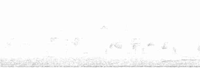 Australian Reed Warbler - ML125163381