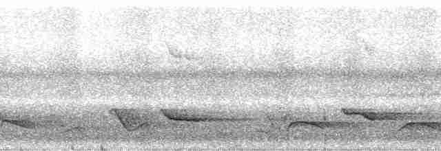 Çizik Kanatlı Turpiyal - ML12523